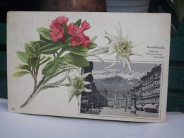 POSTCARD INNSBRUCK MARIA THERESIEN STRASSE LITHO BLUMEN ALPENSTERN FLOWER  AK CPA - Innsbruck