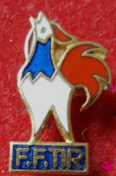 SUPER PIN'S COQ, FEDERATION FRANCAISE De TIR - Dieren