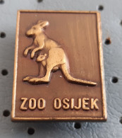 ZOO Osijek Kangaroo Croatia Vintage Pin - Animales
