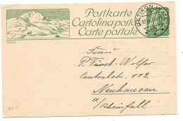 117 - 94 - Entier Postal Avec Illustration "Aroisa" Cachet à Date Uetikon 1923 - Ganzsachen