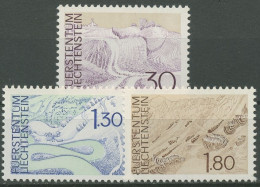 Liechtenstein 1973 Landschaften 581/83 Postfrisch - Ungebraucht