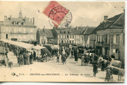 - 58 - NIEVRE - BRINON-SUR-BEUVRON -Le Champ De Foire - Brinon Sur Beuvron