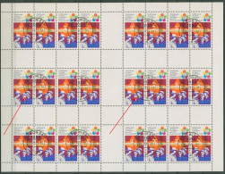 DDR MH-Bogen 1973 Weltfestpiele Plattenfehler MHB 17 D I Gestempelt - Markenheftchen