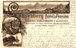 Seelisberg - Sonnenberg Hotel - Litho - Seelisberg