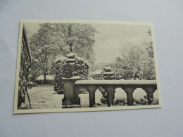 CARLSBOURG  L'Hiver Palais Blanc Belgique Carte Postale Post Kaart Postcard - Paliseul