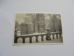 CARLSBOURG  L'Hiver Buissons Belgique Carte Postale Post Kaart Postcard - Paliseul