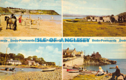 R142483 Isle Of Anglesey. Dennis. Multi View - World