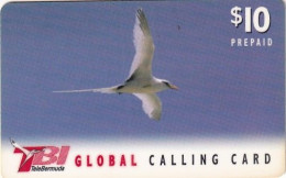 BERMUDA ISL. - Bird, TeleBermuda Prepaid Card $10(red Logo On Reverse), Used - Bermude