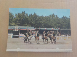 CPSM -  AU PLUS RAPIDE -  CHEVAUX - HORSE PFERDE - CARROUSEL DE SAUMUR - COURBETTES - NON VOYAGEE - Caballos