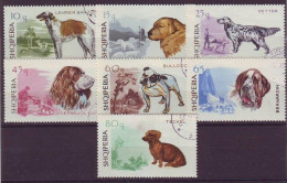 ALBANIA 1104-1110,used - Honden