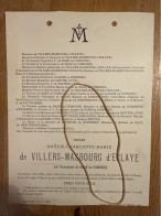 Amelie De Villers-Masbourg D’Eclaye Nee Vicomtesse De Bare De Comogne *1854+1897 Namur Aumont De Cartier D’Yve De Haan V - Obituary Notices