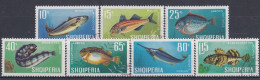 ALBANIA 1131-1137,used - Fishes