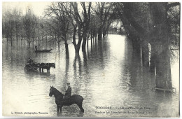 TONNERRE - L'allée Des Ormes Du Patis Pendant Les Inondations Du 20 Janvier 1910 - Tonnerre