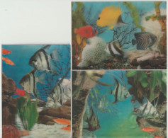 Lot Mit Drei 3D-Ansichtskarten Fische Im Aquarium - Pesci E Crostacei