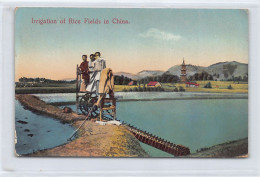 China - Irrigation Of Rice Fields - Publ. Kingshill  - China