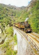 Ligne TOURNON-LAMASTRE - Le Train Accroché à  La Colline - Treinen