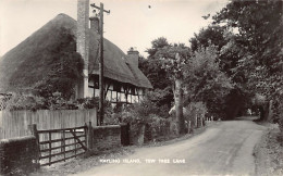 England - Hants - HAYLING ISLAND Yew Tree Lane - Sonstige & Ohne Zuordnung