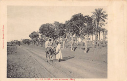 Egypt - CAIRO - Donkey In Marg Avenue - Publ. A. Bergeret  - Le Caire