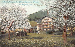 CHEVALLEYRES SUR VEVEY (VD) Hôtel Pension - E. Bonjour - Ed. Lith. Saüberlin & Pfeffer 127 - Andere & Zonder Classificatie