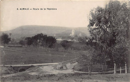 Algérie - AUMALE Sour El-Ghozlane - Route De La Pépinière - Ed. Collection Idéale P.S. 6 - Autres & Non Classés