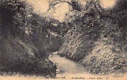 Guernsey - MOULIN HUET - Water Lane - Publ. Levy L.L.  - Guernsey