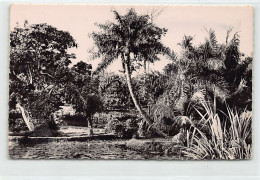 Congo - BRAZZAVILLE - Jardin D'Essai - Les Abords Du Petit étang - Ed. V. Simarro 1099 - Brazzaville