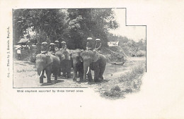Thailand - Wild Elephants Escorted By Three Tamed Ones - Publ. J. Antonio 615. - Thailand