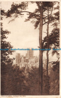 R143327 Wells Cathedral Through The Trees - Monde