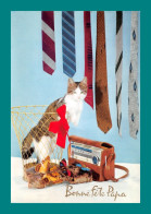 Chat, Cat, Katze, Gatto, Papillon, Butterfly, Transistor, Cravates ( 1 Carte + 1 Enveloppe Chat ) - Katten