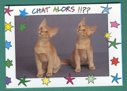 Chat éditions Milaberto Pessac ( 1 Carte + 1 Enveloppe Chat ) - Chats