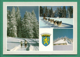 L'hiver En Franche Comte ( Chiens De Traîneau Husky, Blason) ( 1 Carte + 1 Enveloppe Montagne, Vache, Chien Husky ) - Chiens