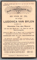 Bidprentje Meer - Van Bylen Ludovica (1867-1939) - Devotion Images
