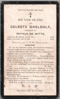 Bidprentje Meerdonk - Gheldolf Celeste (1887-1919) Hoekplooi - Images Religieuses