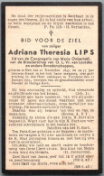 Bidprentje Meir - Lips Adriana Theresia (1857-1935) - Devotion Images