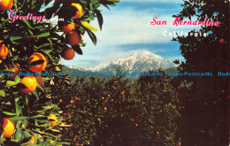 R143342 Greetings From San Bernardino. California. H. Scott. 1972. Western Resor - Monde