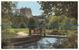 R142694 Blarney Castle. Cork. The Eagle Printing - Mundo