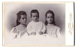 Fotografie P. Tillmann, Bern, Sommerleist 16, Portrait Kleiner Junge Und Zwei Mädchen In Zeitgenössischer Kleidung  - Anonyme Personen