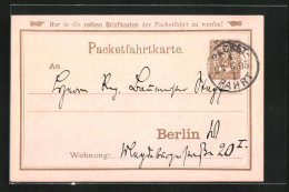 Vorläufer-AK Packetfahrtkarte, 1895, Private Stadtpost Berlin  - Briefmarken (Abbildungen)