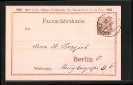 Vorläufer-AK Packetfahrtkarte Private Stadtpost Berlin, 1895  - Briefmarken (Abbildungen)