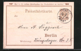 Vorläufer-AK Packetfahrtkarte Private Stadtpost Berlin, 1894  - Briefmarken (Abbildungen)
