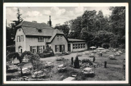 AK Zielenzig / Sulecin, Stadtwald-Restaurant Mit Gartenansicht  - Other & Unclassified