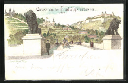 Lithographie Würzburg, Blick Auf Die Ludwigsterrassen Mit Löwenstatuen  - Wuerzburg