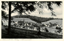 73949004 Schoenwald_Triberg Panorama Schwarzwald - Triberg