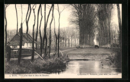 CPA Rue, Vue Prise Dans Le Bois Du Broutel  - Rue