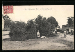 CPA Cayeux-sur-Mer, La Mare Aux Canards  - Cayeux Sur Mer