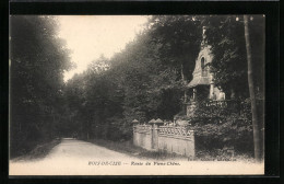 CPA Bois-de-Cise, Route Du Vieux-Chene  - Bois-de-Cise