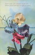 R636675 Sweet Peas. Fair Children Of The Sun. Valentine Series - Monde