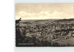 72081005 Heiligenstadt Eichsfeld Panorama  - Autres & Non Classés