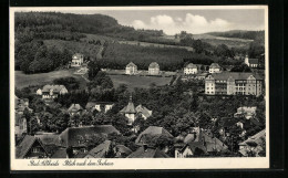 AK Bad Altheide, Totale Mit Blick Nach Dem Teehaus  - Schlesien