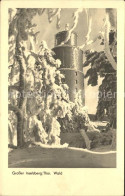 72078021 Grosser Inselsberg Aussichtsturm Winterlandschaft Thueringer Wald Brott - Andere & Zonder Classificatie